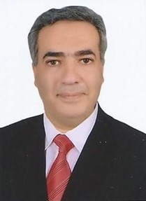 Prof. Ahmed A D Sarhan